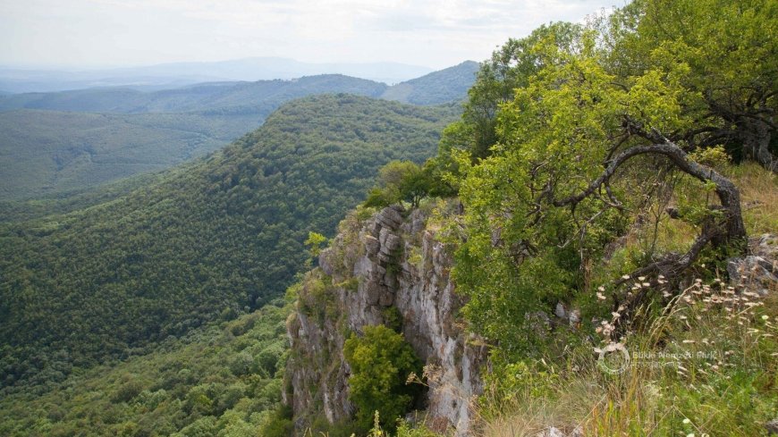 Bükki Nemzeti Park